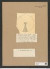 Coscinodiscus concinus var. arafurensis Grun. (de-Toni-Nr.: Genus 202, Species 5002) Zeichnungen Sammlung Grunow Nr. 8715 (NHMW-BOT-W0378289)